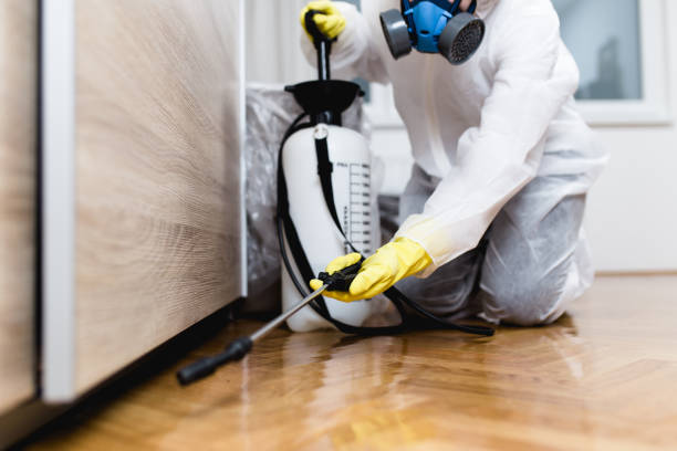 Pest Prevention Services in Waynesville, NC