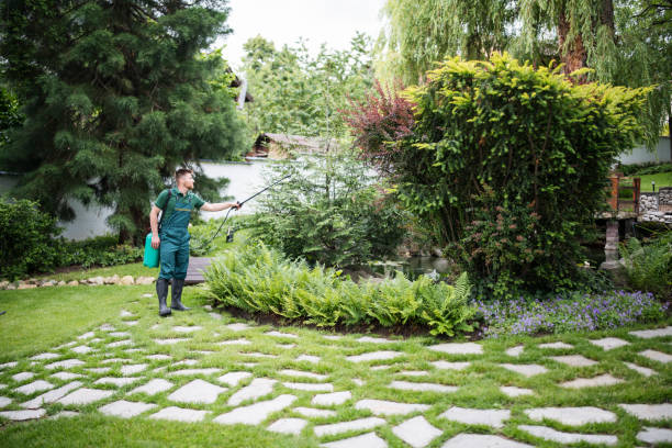 Best Wasp Removal Services  in Waynesville, NC