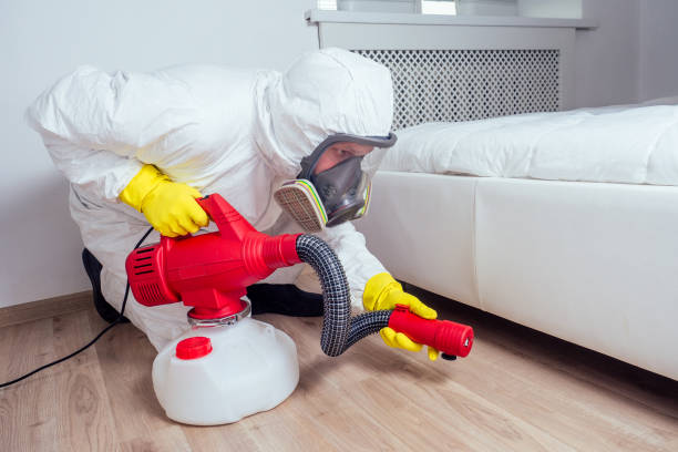  Waynesville, NC Pest Control Pros